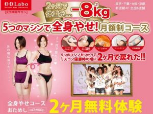 5位 D.D.Labo「月額コース」